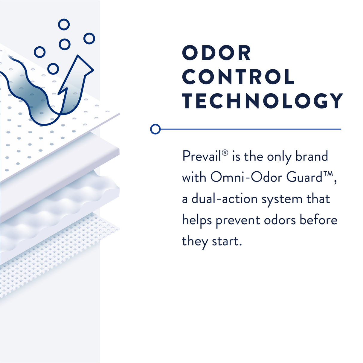 Prevail Incontinence Pant Liner, Small