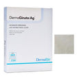DermaGinate/Ag alginate dressing with antibacterial silver, box and dressing pad