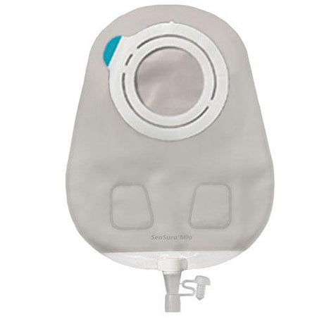 157395158.jpg