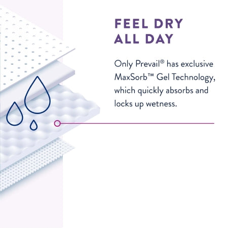 228827557.jpg