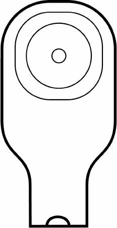 228874562.jpg