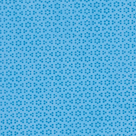 228882994.jpg