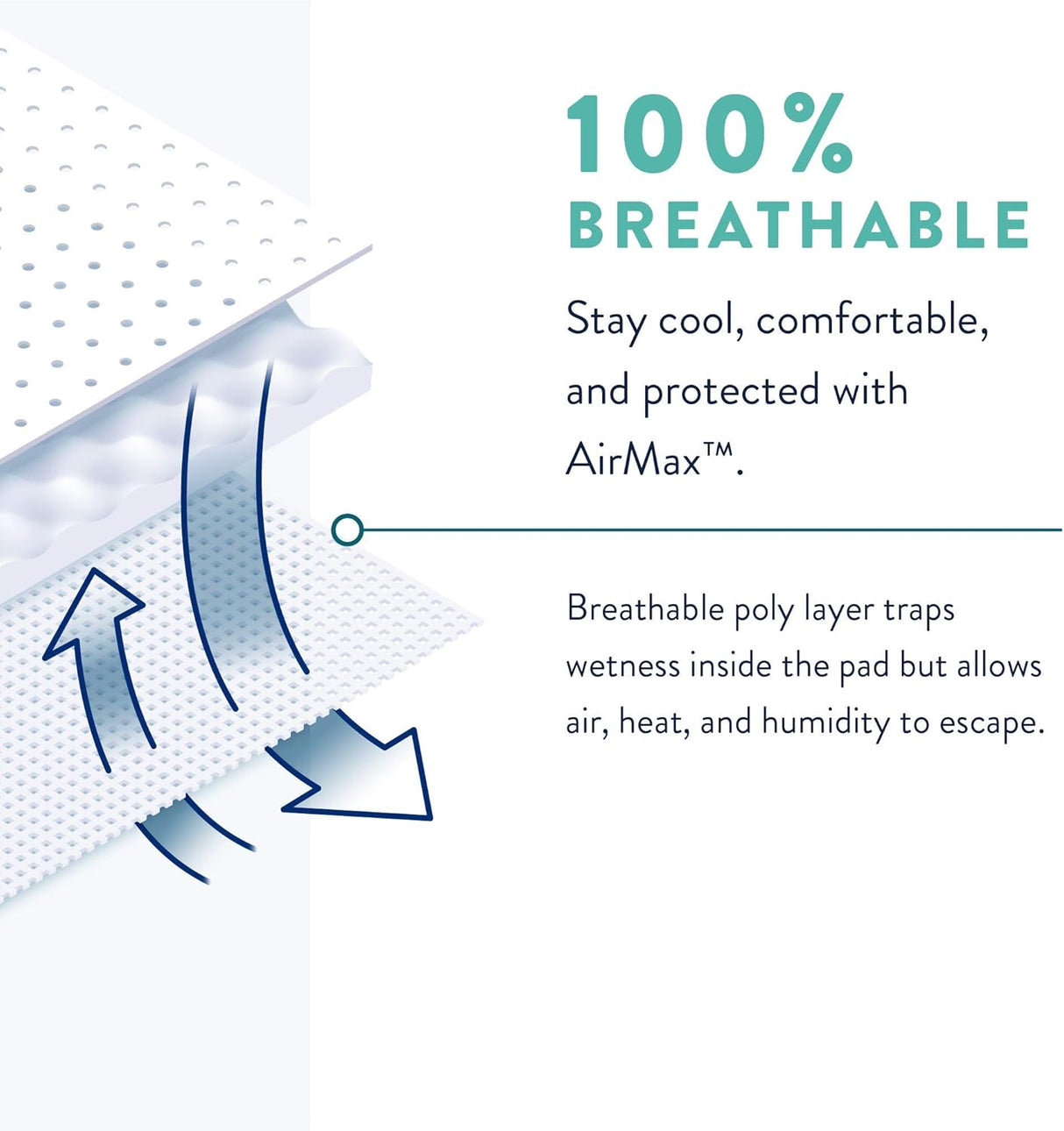 Test Product Prevail Proven - Male Incontinence Guards - Bladder Leak Guards - Maximum Absorbency