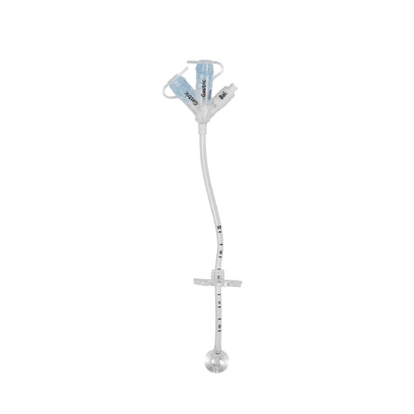 Medical gastrostomy feeding tube with dual ports and measurement markings on white background
