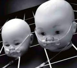 Tender Grip Infant Skin Fixation System