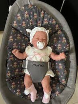 Numa Replacement Cushion, Small