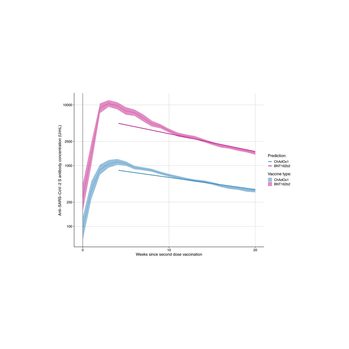 Sundown Naturals Co Q-10 Gummies, Value Size, 200mg, 100 Ct