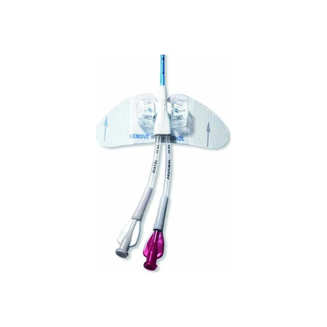 Dual lumen central venous catheter with securement device for medical use