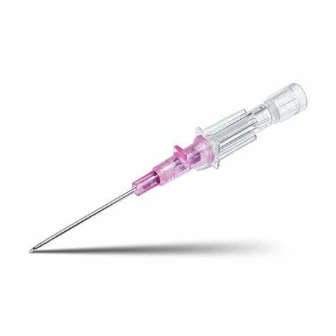 Sterile intravenous cannula with pink hub for medical supply and infusion therapy